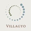 Villagyo - Consulting