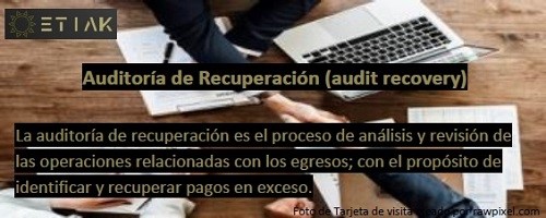 Recuperación de Pagos (audit recovery)
